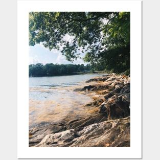 Sunny Maine Rocky Beach Posters and Art